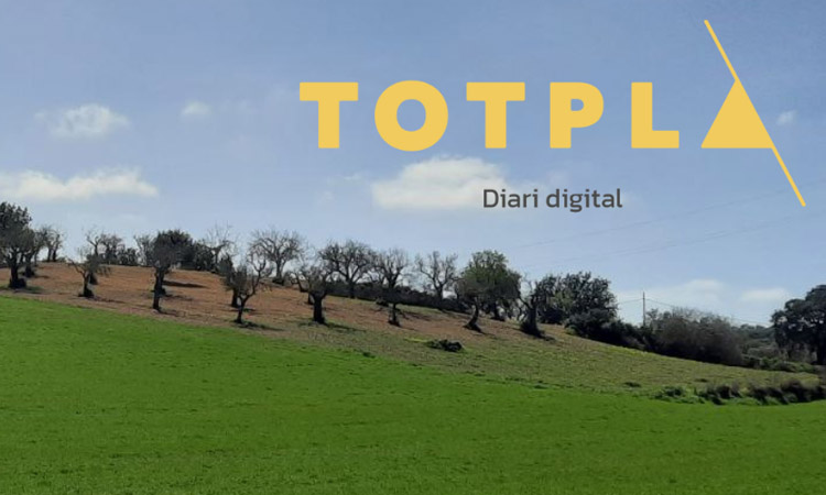 Neix TotPla.cat, el primer diari digital del Pla de Mallorca